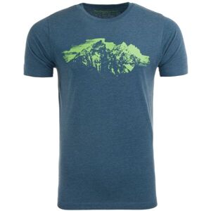 ALPINE PRO PREBL Pánské triko, Modrá,Zelená, velikost XXXL