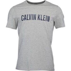 Calvin Klein S/S CREW NECK Pánské tričko, tmavě zelená, velikost M