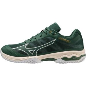 Mizuno WAVE EXCEED LIGHT CC Pánská běžecká obuv, zelená, velikost 45