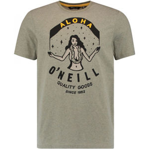 O'Neill LM WAIMEA T-SHIRT tmavě zelená XXL - Pánské tričko