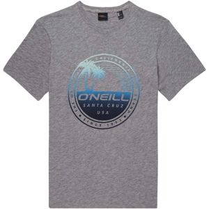 O'Neill LM PALM ISLAND  T-SHIRT šedá M - Pánské tričko