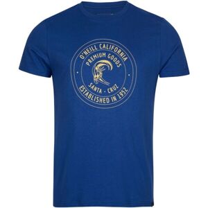 O'Neill EXPLORE T-SHIRT Pánské tričko s krátkým rukávem, modrá, velikost XXL