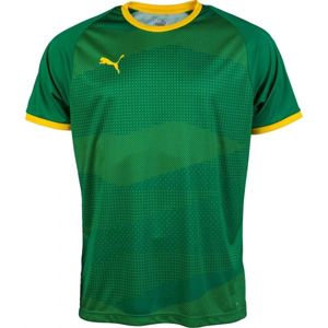 Puma KC LIGA JERSEY GRAPHIC Pánský fotbalový dres, zelená, velikost S