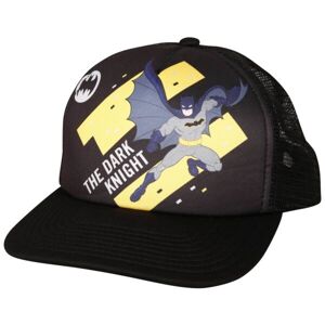Warner Bros BATMAN DARK HAT Kšiltovka, černá, velikost UNI
